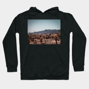 Photo of Cholla Cactus at Joshua Tree National Park V3 Hoodie